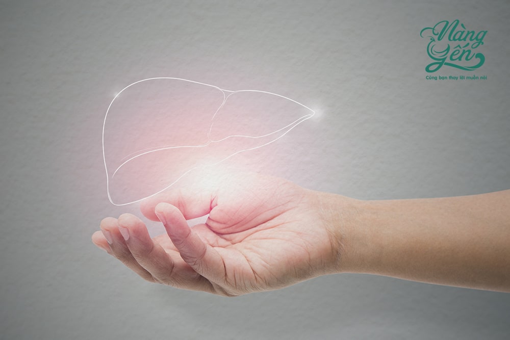 Gan là cơ quan cực kỳ quan trọng trong cơ thể Gan là cơ quan cực kỳ quan trọng trong cơ thể