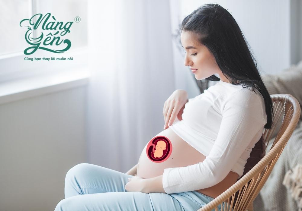 Yến sào giúp thanh nhiệt - Bài viết: Tổ yến với phụ nữ mang thai - Cách ăn yến tốt nhất dành cho bà bầu