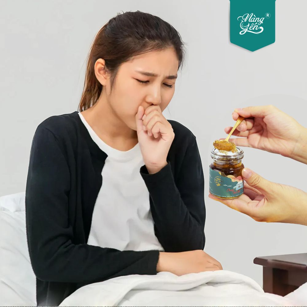 Theo Đông y, yến sào là một loại dược liệu giúp bổ phế, sạch đờm và giảm ho cho hệ hô hấp