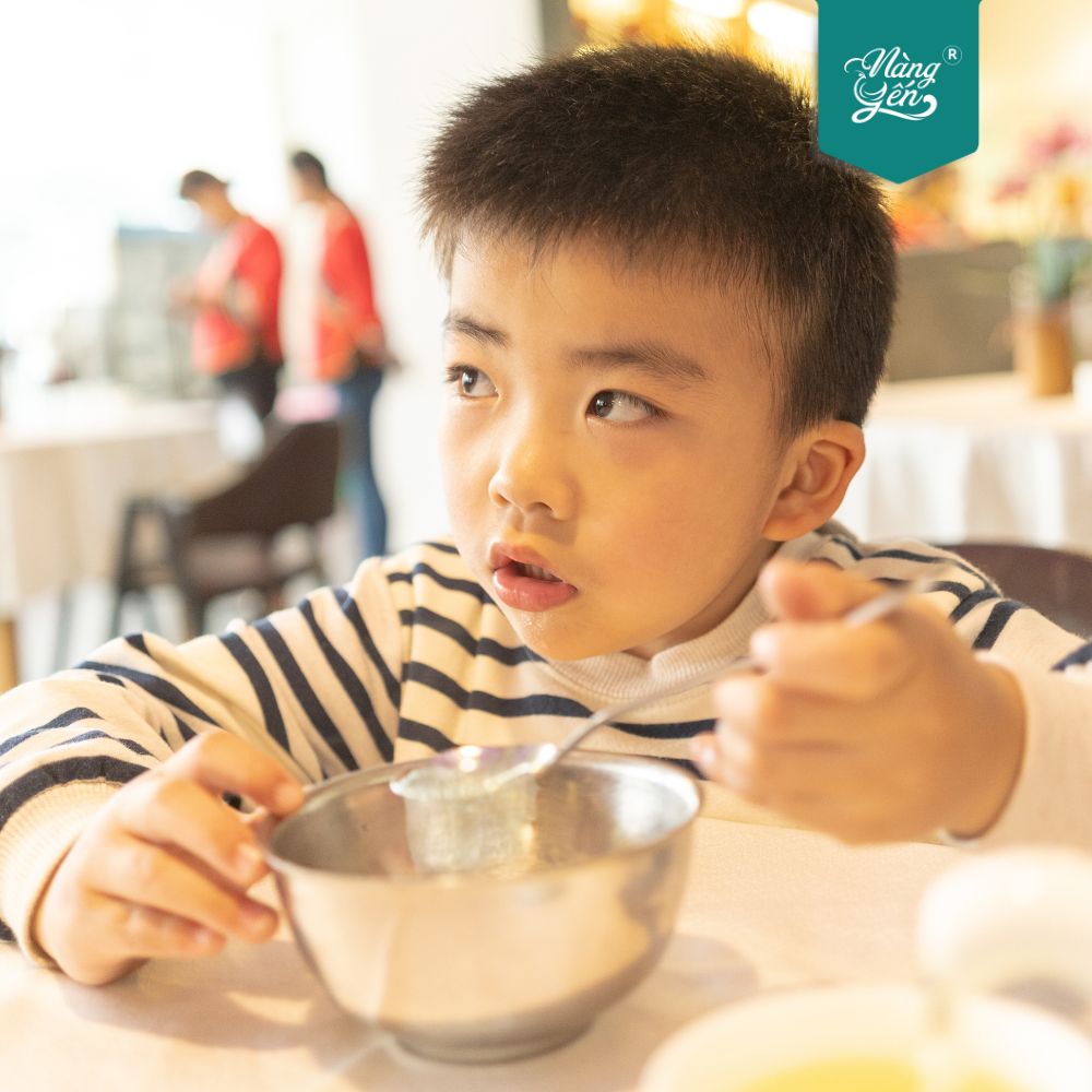 Yến sào tăng cường khả năng miễn dịch bằng cách thúc đẩy sự tăng sinh tế bào B và bài tiết kháng thể cho trẻ