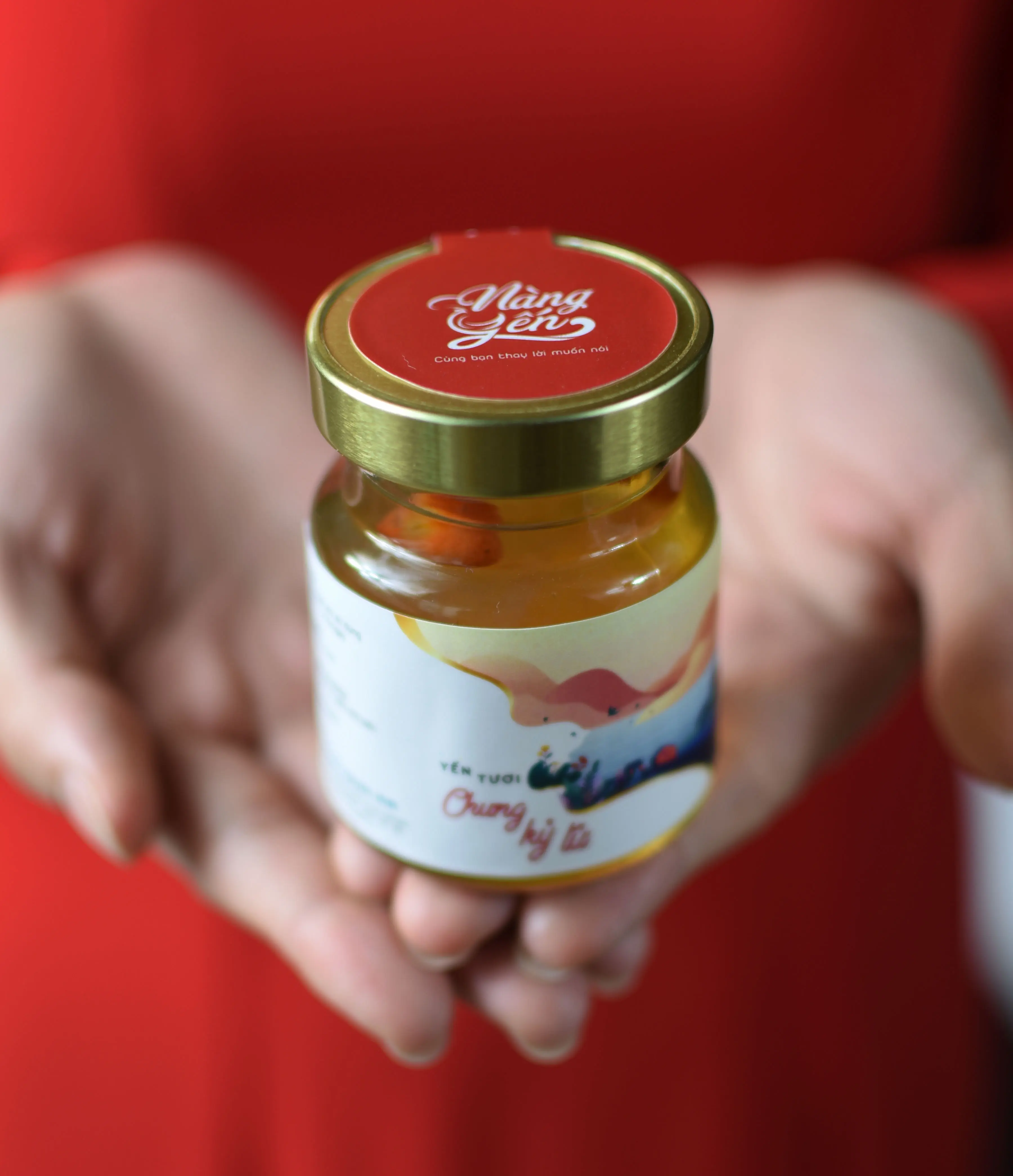 Yến chưng kỷ tử Yến chưng kỷ tử