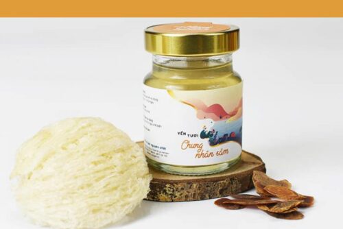 YẾN CHƯNG NHÂN SÂM - NÀNG YẾN