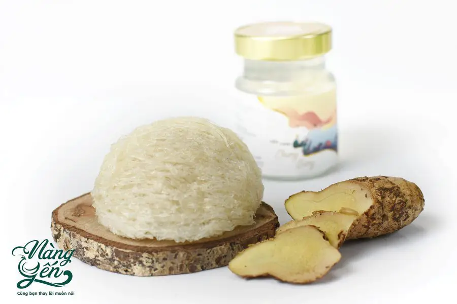 Yến chưng vị Gừng - Nàng Yến