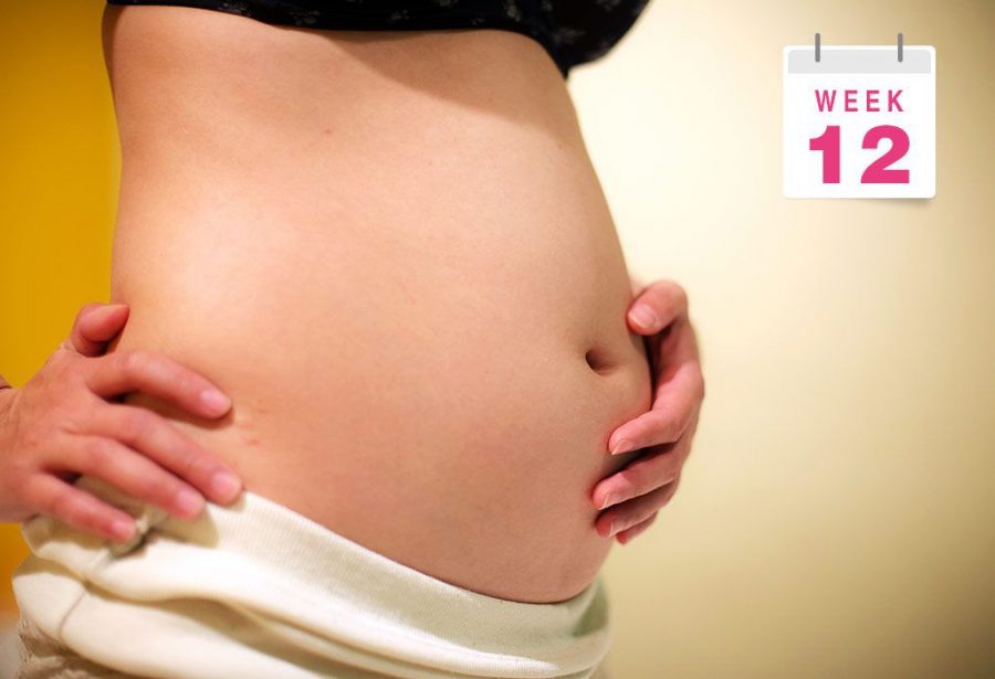 Bụng của mẹ lúc này đã hơi nhô ra khi bé được 12 tuần tuổi