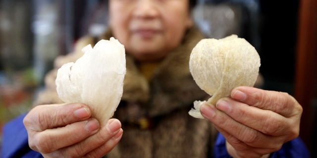 Một số người dùng cảm quan để phân biệt yến thật giả như màu sắc, hình dáng, mùi,...