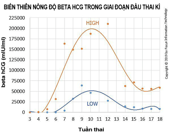 sự thay đổi nồng độ HCG trong giai đoạn đầu thai kỳ