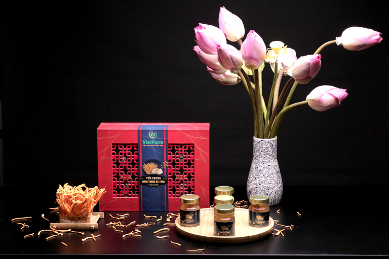 Yến Đông Trùng Hạ Thảo Vietfarm