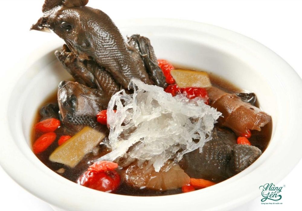Tổ yến tiềm gà thuốc Bắc - Bài viết: Yến làm gì ngon? Top 15 món ăn siêu bổ dưỡng từ yến sào