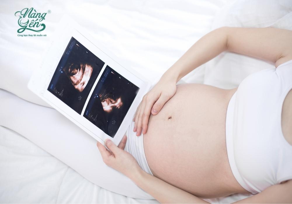 Mang thai ăn yến có giảm nghén - Bài viết: Ăn yến khi mang thai - Những thắc mắc thường gặp