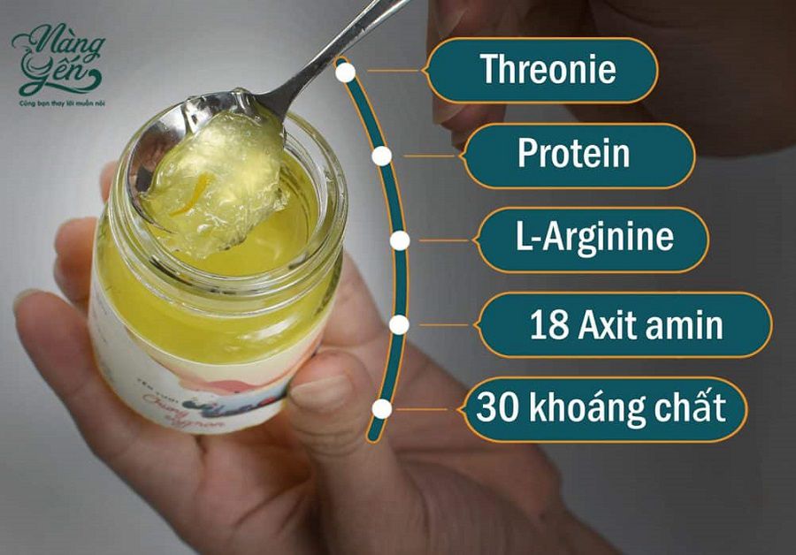 Bài viết: Bệnh Gout nên kiêng ăn gì và có dùng được tổ Yến không?